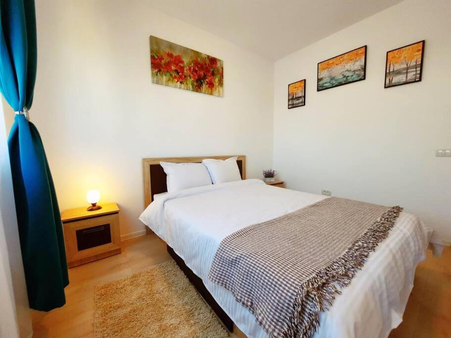 Beautiful Panoramic Central Apartment - City Of Mara Timisoara Exterior foto