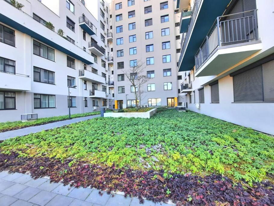Beautiful Panoramic Central Apartment - City Of Mara Timisoara Exterior foto